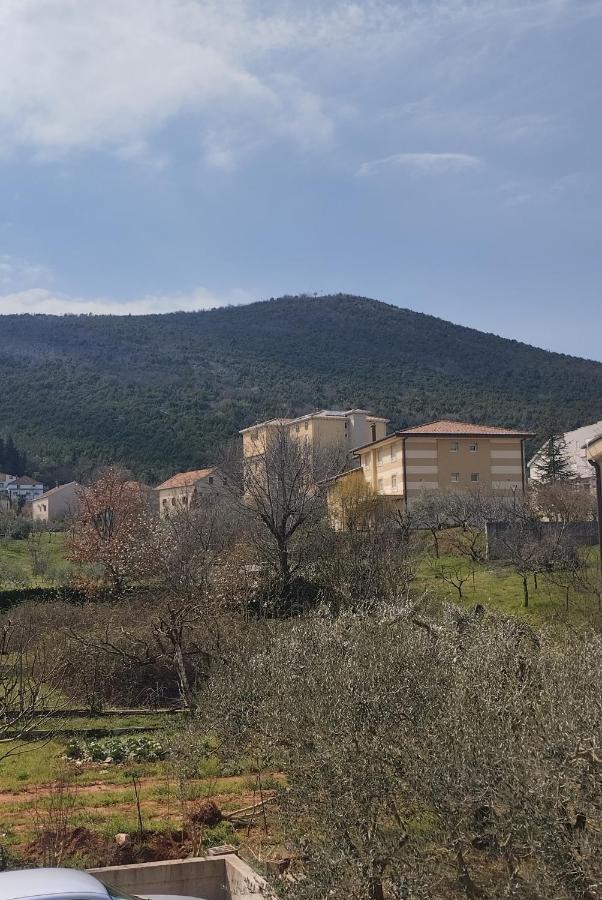 Pansion Danijel Hotel Medugorje Ruang foto