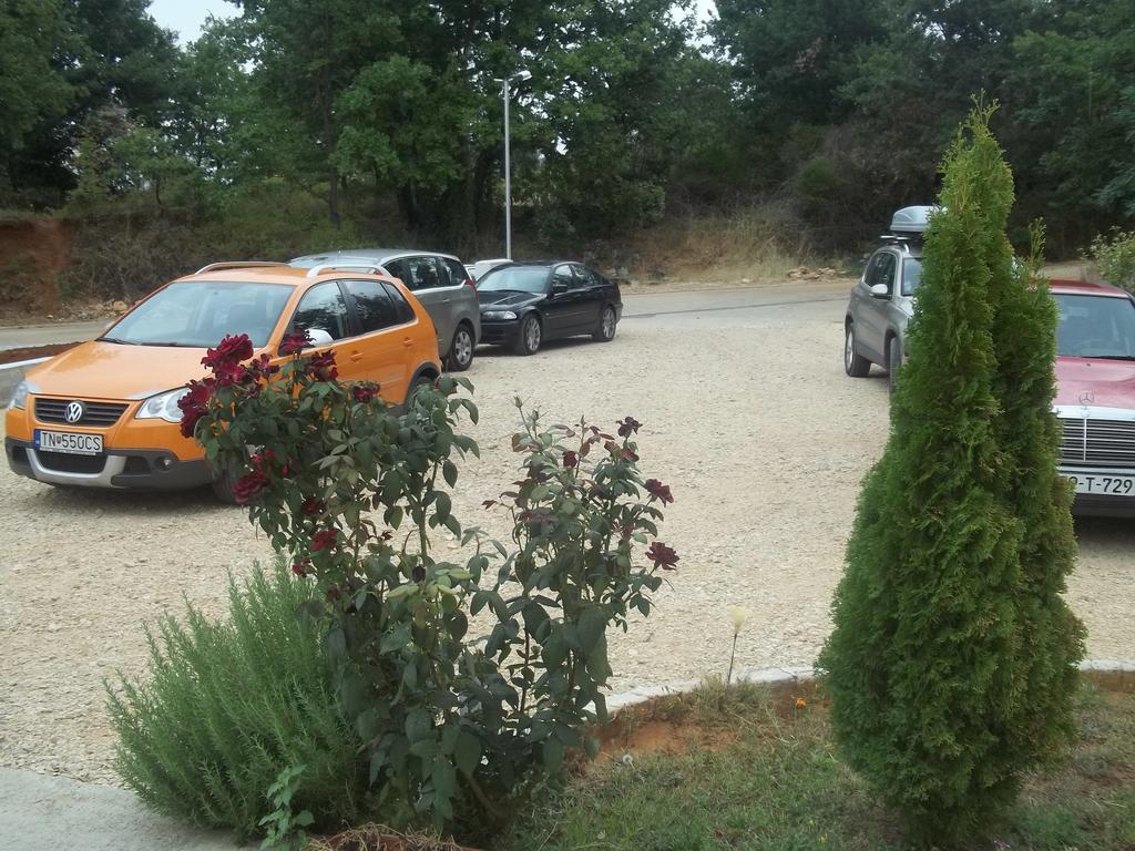 Pansion Danijel Hotel Medugorje Bagian luar foto